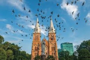 Explore Ho Chi Minh Interesting Things (1 day) - Selected Destinations