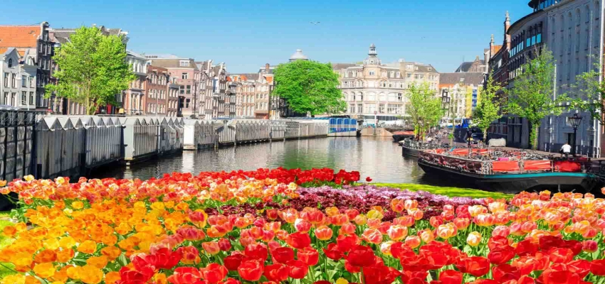 Tour Châu Âu - Châu Âu mùa hoa Tulip - 9 ngày/ 8 đêm - Khách sạn tốt